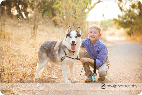 Lead image for Menlo Park Child Photographer: A boy and his dog