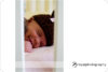 Picture perfect: Oakland Family Photographer preview photo: 3