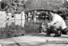 A chilly winter day it wasn’t: San Jose Family Photographer preview photo: 4