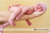 Locally grown: San Jose Family Photographer preview photo: 3