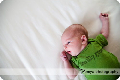 Lead image for Locally grown: San Jose Family Photographer