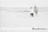Hello fog!: San Francisco Family Photographer preview photo: 3