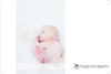 Wee little one: San Jose Newborn Photographer preview photo: 2