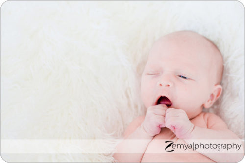Lead image for Wee little one: San Jose Newborn Photographer