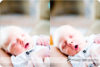 They make it look easy: Gilroy Newborn & Family Photography preview photo: 3