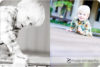 Another year: Belmont Child & Family Photographer preview photo: 3