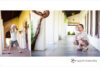 Sweet boy: Santa Clara Child & Family Photographer preview photo: 4