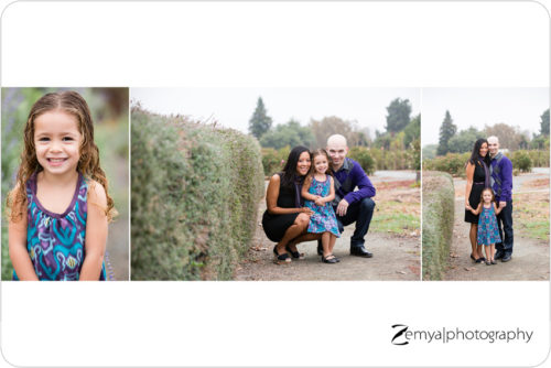 Lead image for San Jose, CA Bay Area Photographer: 2012 Mini Sessions, Part II