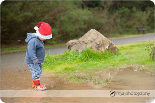 Lead image for Bay Area Photographer: January In My Corner of the World