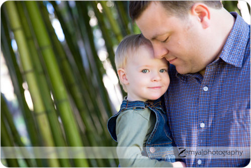 Lead image for Belmont, CA Bay Area Child & Family Photographer: A little boy for sure