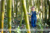 Belmont, CA Bay Area Child & Family Photographer: A little boy for sure preview photo: 4