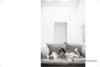 Oakland, CA Newbown Photographer: Don’t worry about a thing… preview photo: 3
