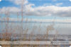 Bay Area Photographer: September In My Corner of the World preview photo: 4