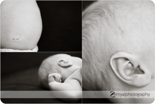 Lead image for Belmont, CA Newborn & Family Photographer: It’s a small and curious world