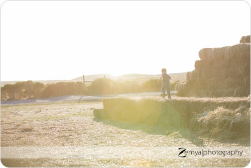 Lead image for Bay Area Photographer: October In My Corner of the World