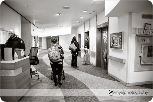 Lead image for Palo Alto, CA Photographer: Show the love