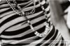 Palo Alto, CA Photographer: Show the love preview photo: 2