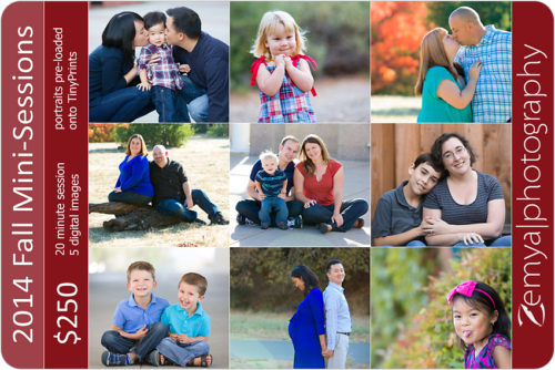 Lead image for Bay Area, CA Photographer: 2014 Fall Mini Sessions!