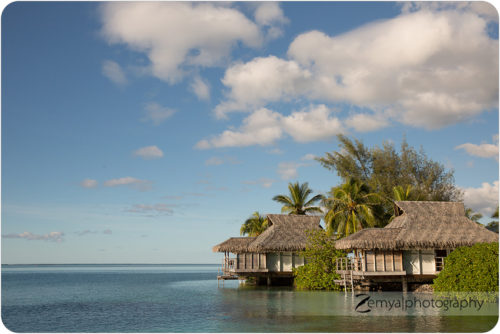 Lead image for Bay Area Vacation Photographer: Our Moorea & Bora Bora anniversary trip