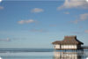 Bay Area Vacation Photographer: Our Moorea & Bora Bora anniversary trip preview photo: 4