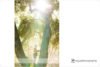 Palo Alto Child Photographer preview photo: 4